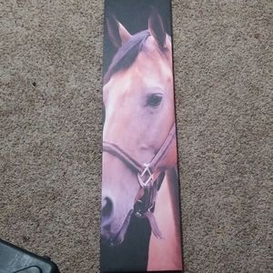 Large horse painting
